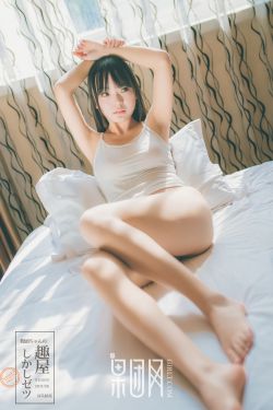 精装追女仔之3狼之一族